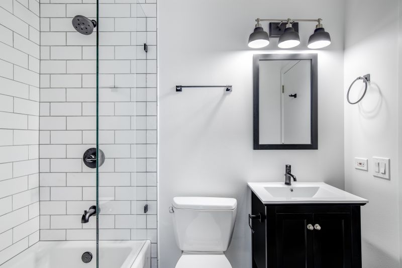 Contemporary Bathroom with Dark Fixtures